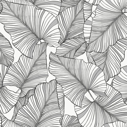 JV 503 5812 (Laurus)