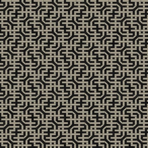 JV 503 5801 (Amaranthus)