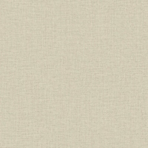 JV 503 5873 (Hibiscus)
