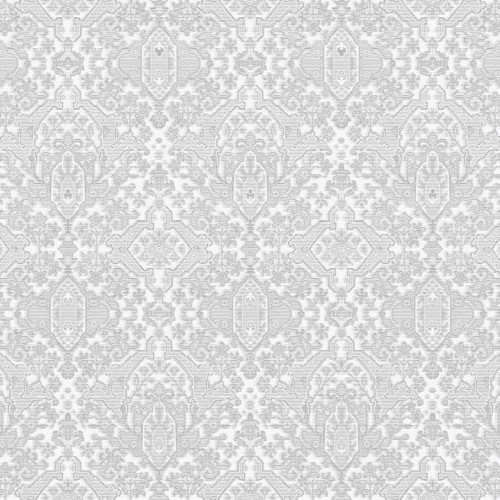 JV 503 5822 (Euphorbia)