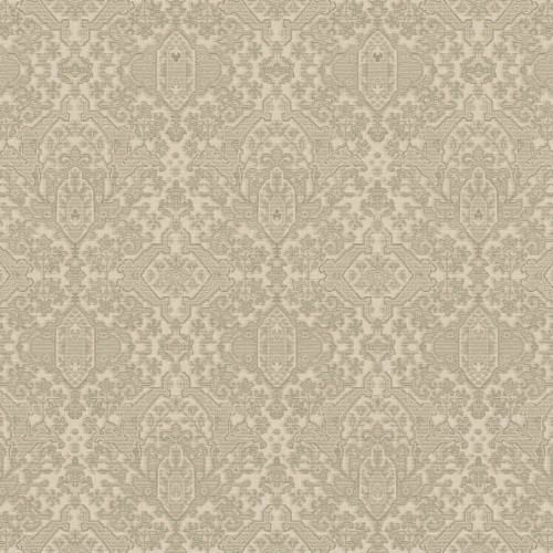 JV 503 5823 (Euphorbia)