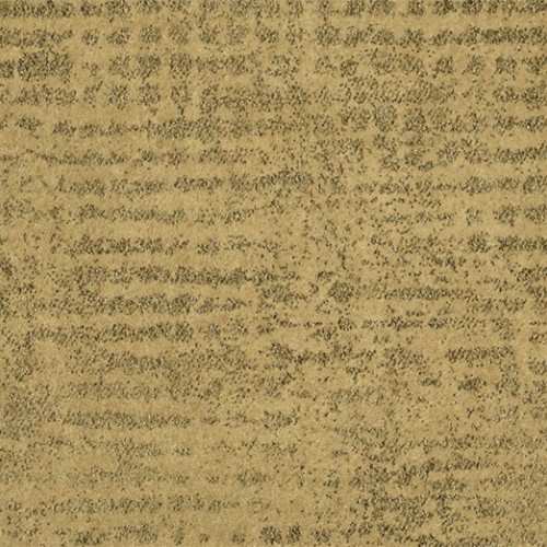 Edition ED2520 (Interlude)