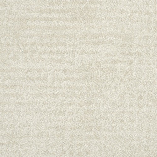 Edition ED2021 (Interlude)