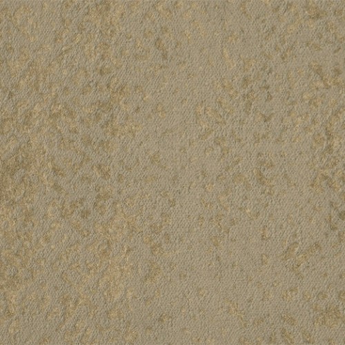 Edition ED3001 (Solstice)