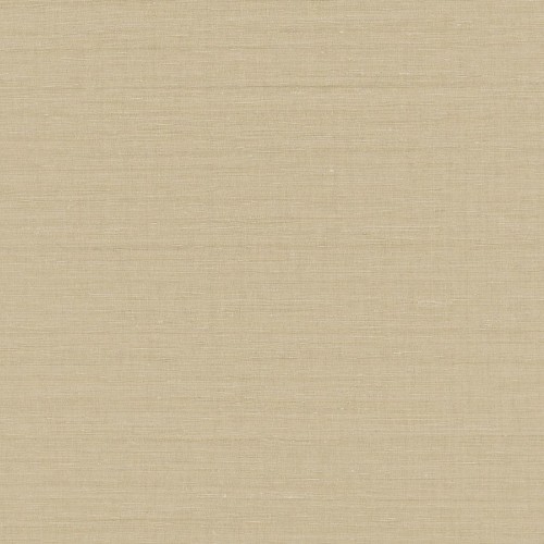 Loom Stories LS401