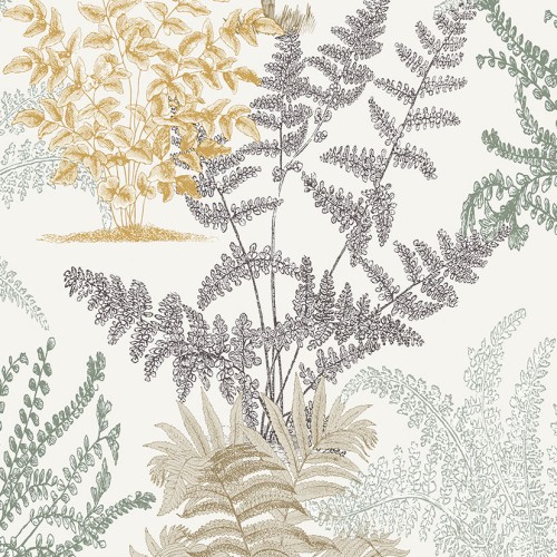 Asperia A57101
