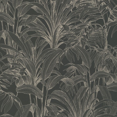 Asperia A51403