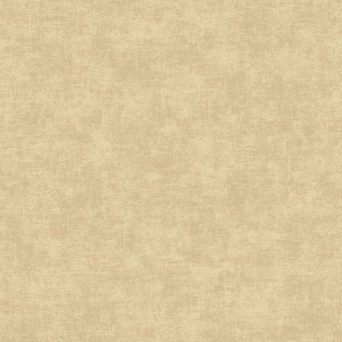 Ciara A53703