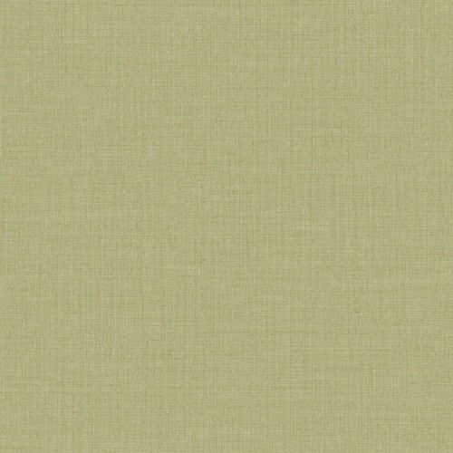 Icon IC1014